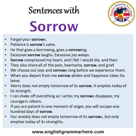 Sentences With Sorrow Sorrow In A Sentence In English Sentences For