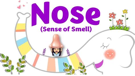 Nose The Sense Of Smell Science Kindergarten Teacher
