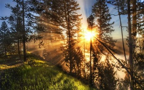 Sun Through Trees On Hill Nature Wallpaper Beautiful Sunset Hdr