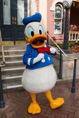 Donald Duck Mascot Costume At Rs 13000 Mascot Costumes In Delhi Id