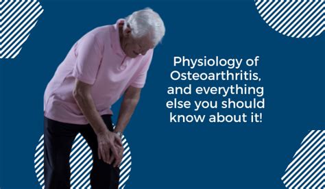 Physiology Of Osteoarthritis And Everything Else You Should Know About It