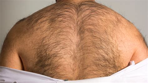 half of all men are ashamed of their body hair survey suggests fox news