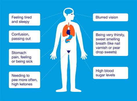 What Is Type 2 Diabetes - Symptoms, Causes, Risk Factor and More