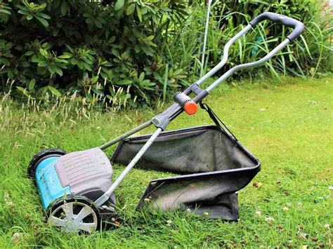5 Best Lawn Mower Bags To Keep Your Lawn Looking Great 2023