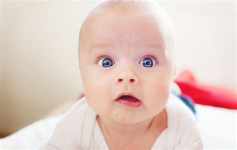 Big Headed Babies Found To Be More Intelligent Than