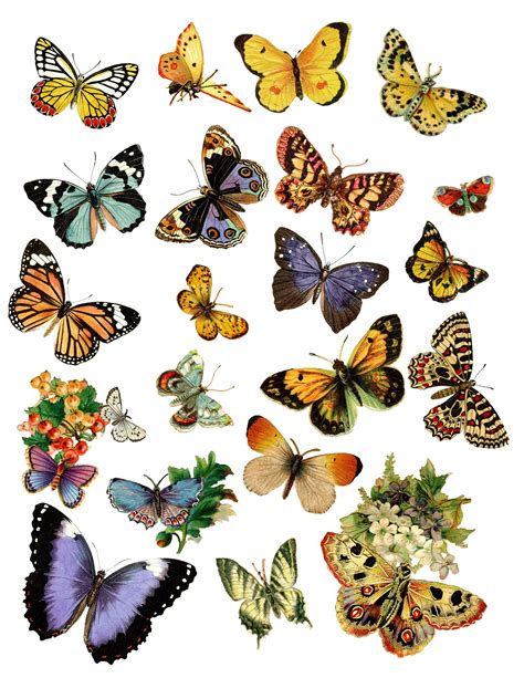 Colourful Butterfly Sticker Pack Sticker By Rubydesignz In 2020