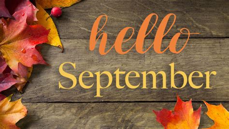 Hello September Word With Colorful Autumn Leaves In Wood Background Hd