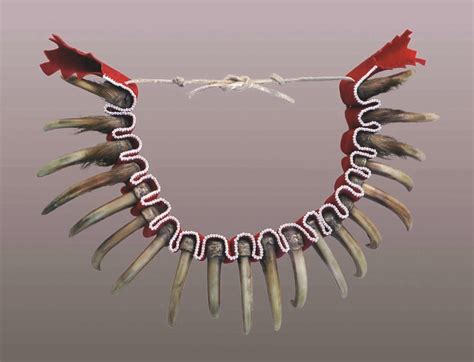 Bear Claw Necklace Bear Claw Necklace Ca 1860 Plains S Flickr