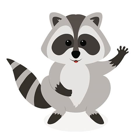 Royalty Free Raccoon Tail Clip Art Vector Images And Illustrations Istock