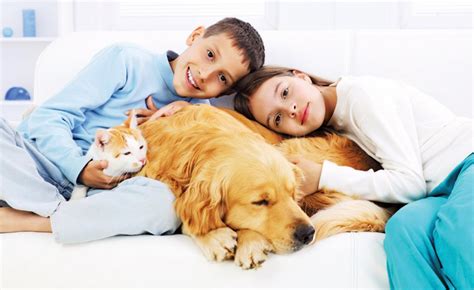 Las 5 Mejores Mascotas Para Niños