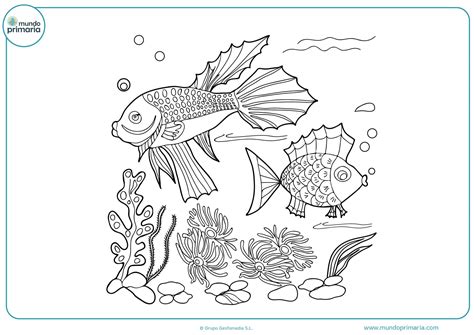 Pez Para Colorear Con Niños Dibujos De Animales Del Mar Images And