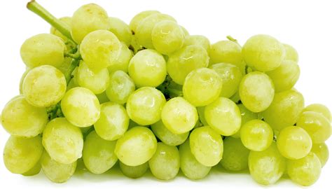 Green Seedless Grapes Information Recipes And Facts