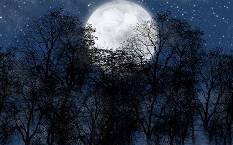 Full Moon Illustration Night Moon Stars Trees Hd Wallpaper