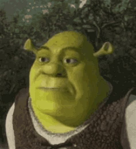  Meme Shrek  Memes Shrek Factory Memes Shrek S Get The Sexiz Pix