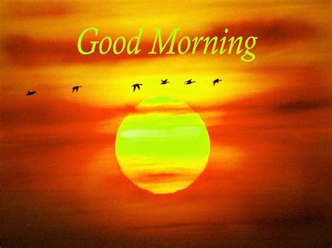 Discover 142 Good Morning Sunrise Wallpaper Latest Vn