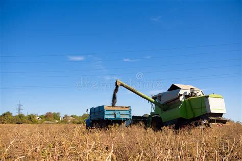 Harvester In A Field For Harvesting In Autumn Stock Photo Image Of