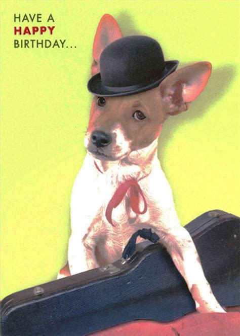 Designer Greetings Gangster Dog With Derby Hat And Black Case Funny