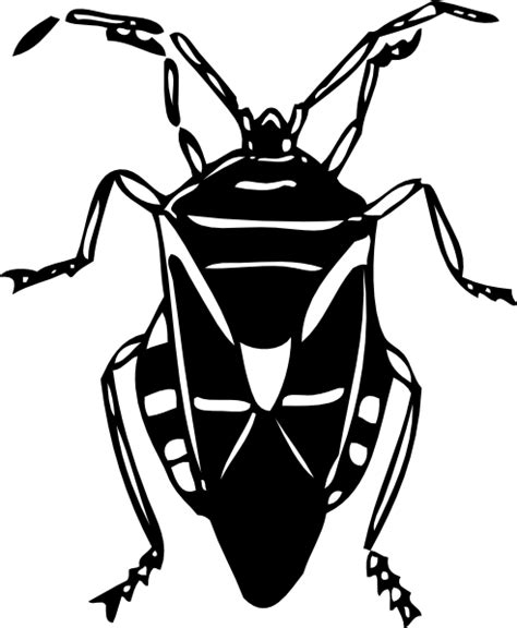 Insect Clipart Black And White Free Images 2 Clipartix