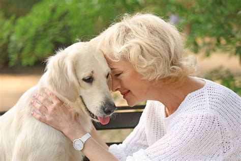 How To Care For An Aging Pet Total Veterinary Care