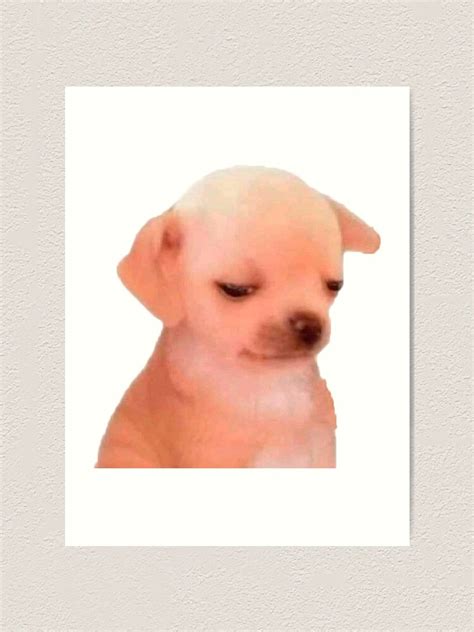 Dog Sad Face Meme Ubicaciondepersonascdmxgobmx