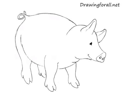 How To Draw A Pig For Kids