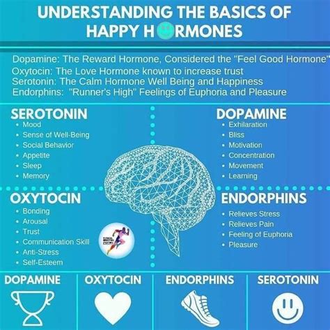 Understanding The Basics Of The Four Happy Hormones Do You Need Help