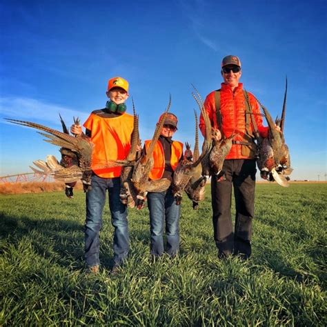 Pheasant Hunts Tule Creek Outfitters