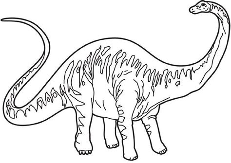 In this free art lesson, you'll learn how to draw a diplodocus step by step. Coloring diplodocus picture