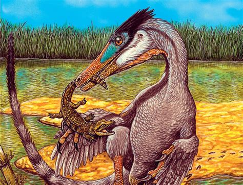 Brazilian Paleontologists Identify New Carnivorous Dinosaur Revista