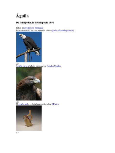 Águila De Wikipedia La Enciclopedia Libre