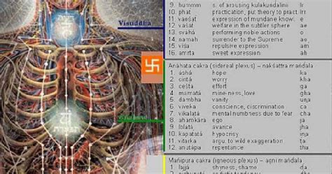 When they are healthy and functioning properly the chakras act as gateways for vital life force energy from the subtle bodies to enter the physical body via the nadis and meridians, while at the same time providing an exit point for lower frequency energy to be released back into the subtle bodies for transmutation. 7 Chakras, 7 Sacred Directions - part 1