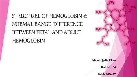 Structure Of Hemoglobin And Difference Between Fetal And Adult Hemoglobin