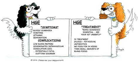 Haemorrhagic Gastroenteritis Hge Cavalier Matters