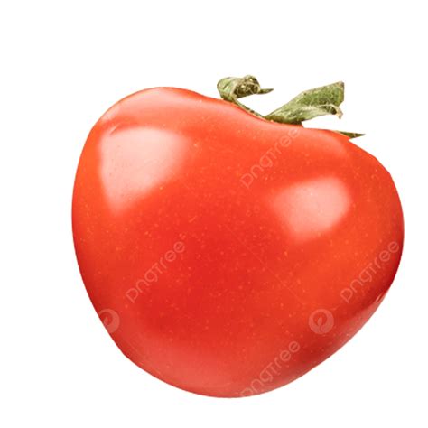 Tomatoe Hd Transparent Tomato Fresh Tomatoes Vegetables Material