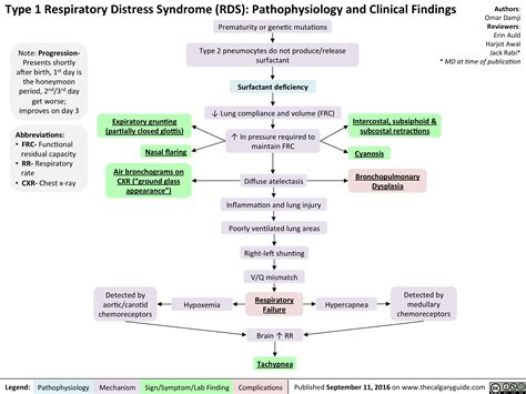 Type 1 Respiratory Distress Syndrome Rds Pathophysiology And