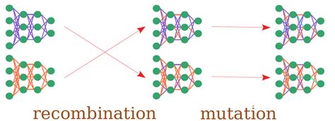 Evolution Of Neural Networks An Illustration Showing How Neural