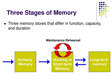 Three Stages Of Memory Slide Share