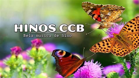 Veja mais ideias sobre orquestra ccb, hinos cantados, fotos ccb. Hinos Ccb Cantados - CCB Hinos - YouTube - Hino 21 não ...