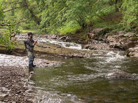 River Fly Fishing For Beginners 10 Top Tips Fishing In Wales