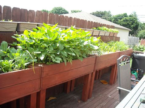 Elevated Garden Beds For Those Who Need Or Want To Stand While
