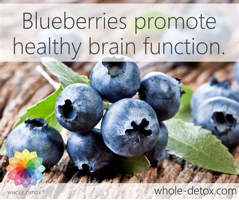 Blueberries Have Extraordinary Effects On Brain Function They Promote