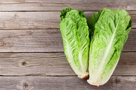 Römersalat waschen und zubereiten | kochschule. Superfood: Romanasalat - Bauch.de