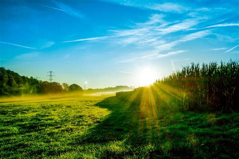 Fantastis 30 gambar matahari terbit pagi hari kartun matahari terbit gambar animasi for android apk download downloa di 2020 matahari terbit gambar fotografi udara. Pemandangan Matahari Terbit Kabut · Foto gratis di Pixabay