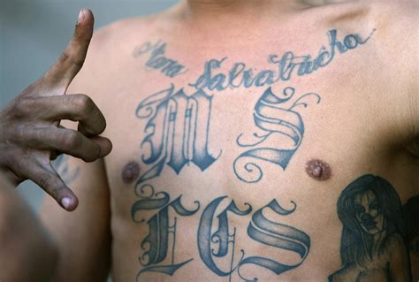 More Than 20 Ms 13 Gang Members Arrested In Early Morning Raids In Los