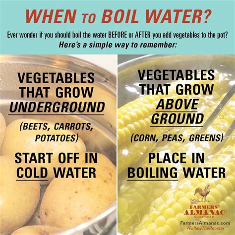 When To Boil Water Farmersalmanac Cooking 101 Cooking Basics