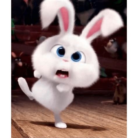 Snowball Rabbit 2