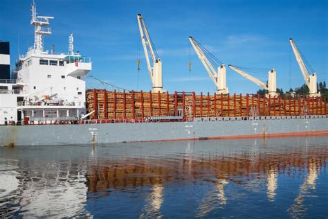 Ship Loaded With Timber Stock Image Image Of Ship Nature 40845569