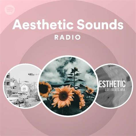 Aesthetic Sounds On Spotify 95e In 2022 Aesthetic Sound Esthetics