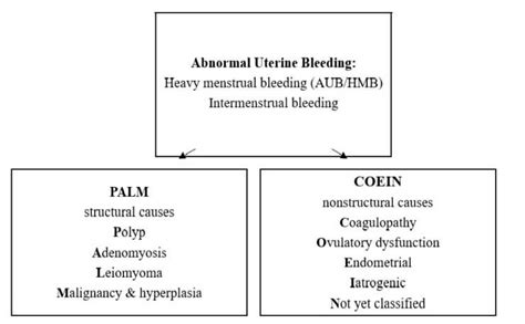 Treatment Of Abnormal Menstrual Bleeding In Adolescents Middle East