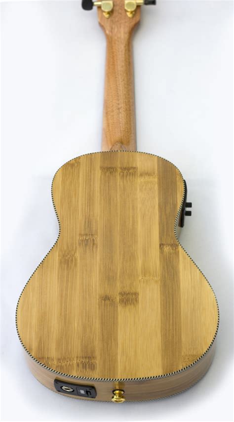 Introducing The Moselele Electro Bambookulele Moselele